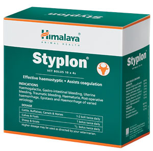 Styplon product image UK