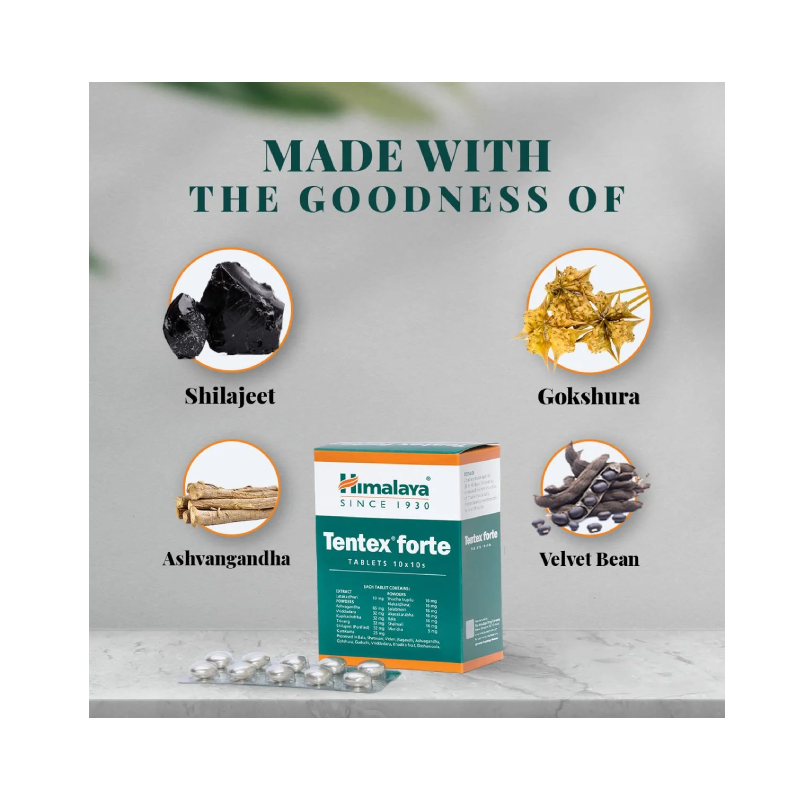 Tentex Forte product image UK